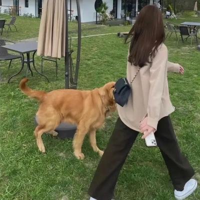 下一步·爱